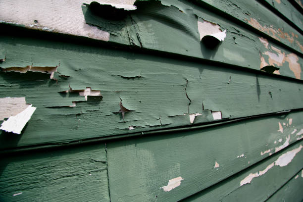 Best Recycling Services for Junk  in Maybrook, NY